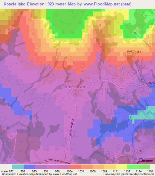 Koscielisko,Poland Elevation Map