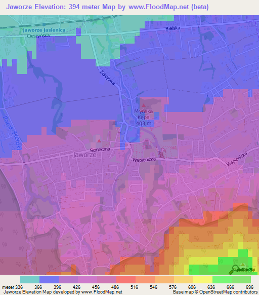Jaworze,Poland Elevation Map