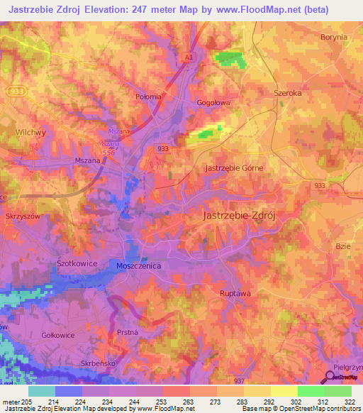Jastrzebie Zdroj,Poland Elevation Map