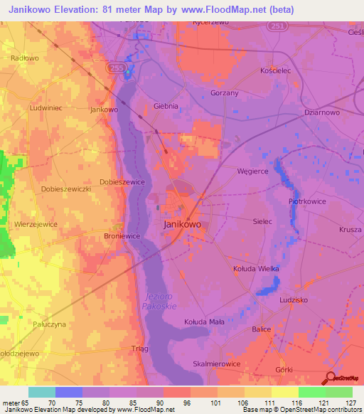Janikowo,Poland Elevation Map