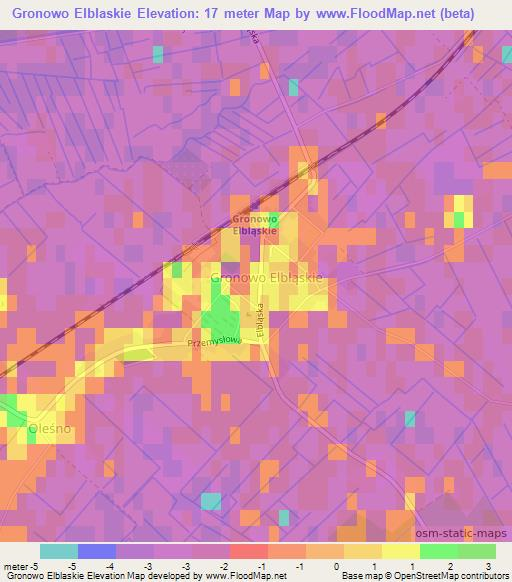 Gronowo Elblaskie,Poland Elevation Map