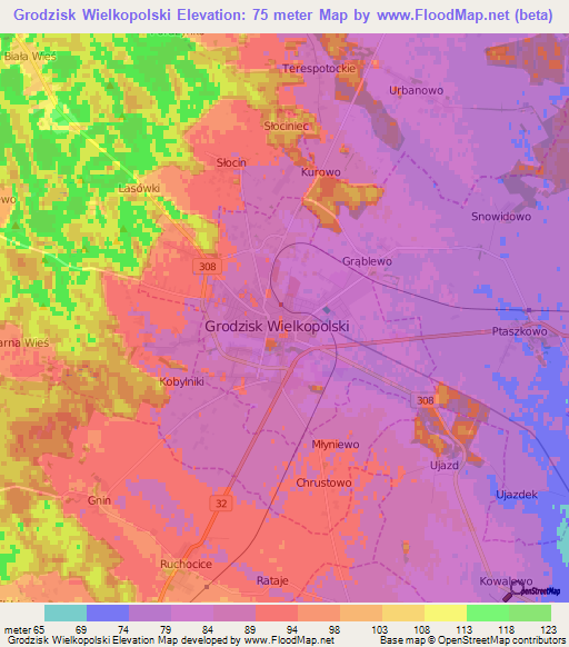 Grodzisk Wielkopolski,Poland Elevation Map
