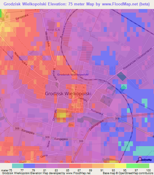 Grodzisk Wielkopolski,Poland Elevation Map