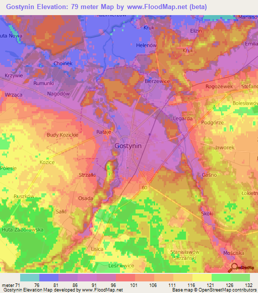 Gostynin,Poland Elevation Map