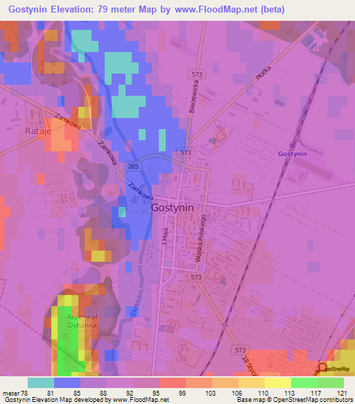 Gostynin,Poland Elevation Map