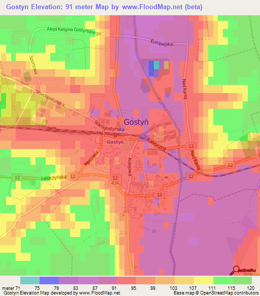Gostyn,Poland Elevation Map