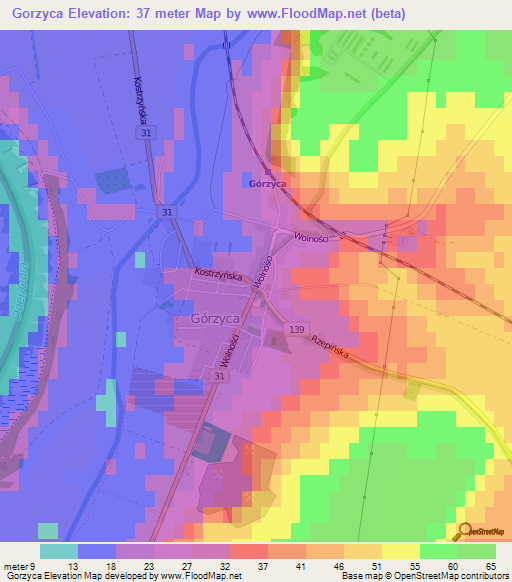 Gorzyca,Poland Elevation Map