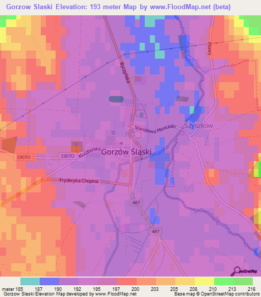 Gorzow Slaski,Poland Elevation Map