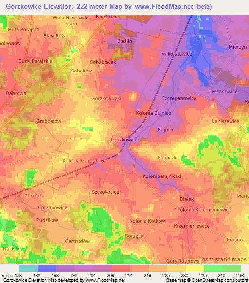 Gorzkowice,Poland Elevation Map