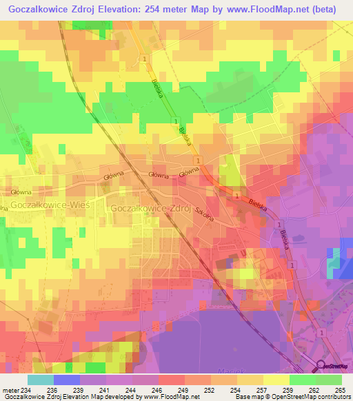 Goczalkowice Zdroj,Poland Elevation Map