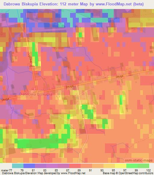 Dabrowa Biskupia,Poland Elevation Map