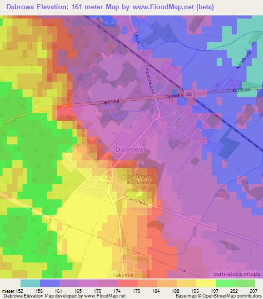 Dabrowa,Poland Elevation Map