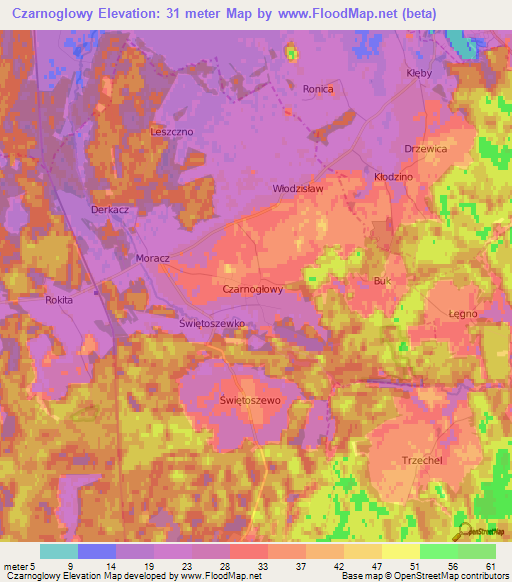 Czarnoglowy,Poland Elevation Map