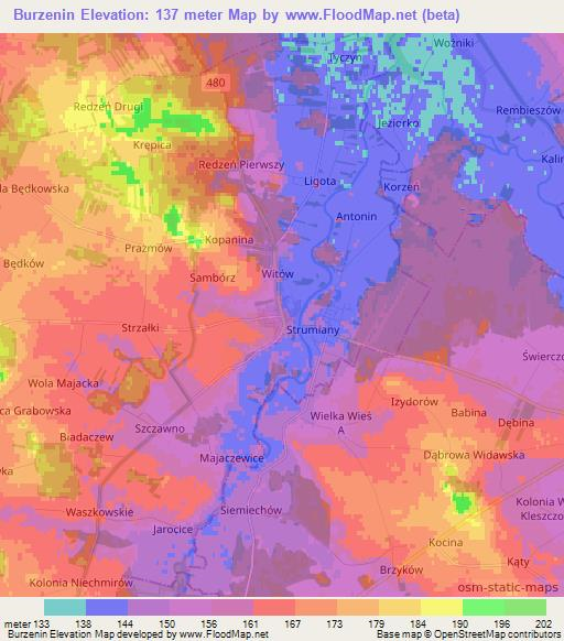 Burzenin,Poland Elevation Map