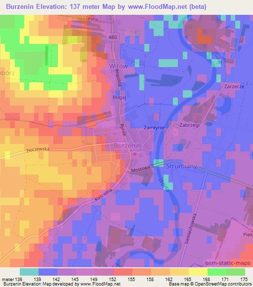 Burzenin,Poland Elevation Map
