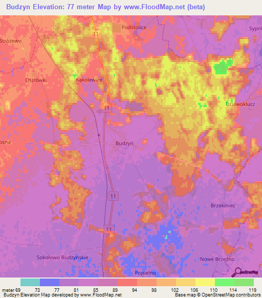 Budzyn,Poland Elevation Map