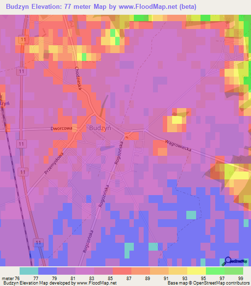 Budzyn,Poland Elevation Map