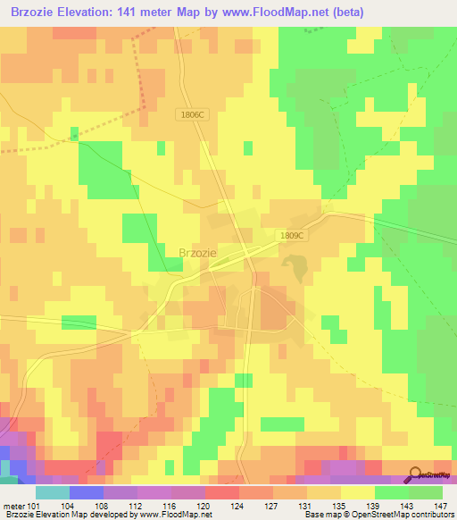 Brzozie,Poland Elevation Map