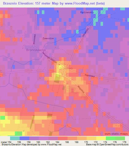 Brzeznio,Poland Elevation Map