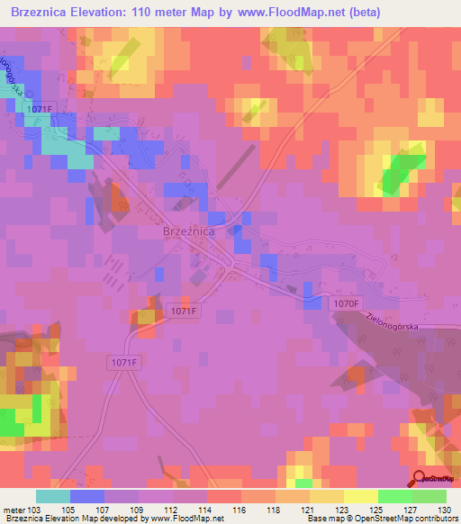 Brzeznica,Poland Elevation Map
