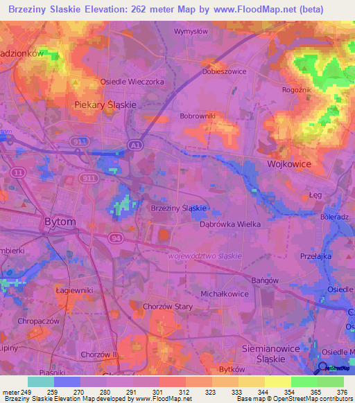 Brzeziny Slaskie,Poland Elevation Map