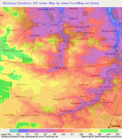 Brzeziny,Poland Elevation Map