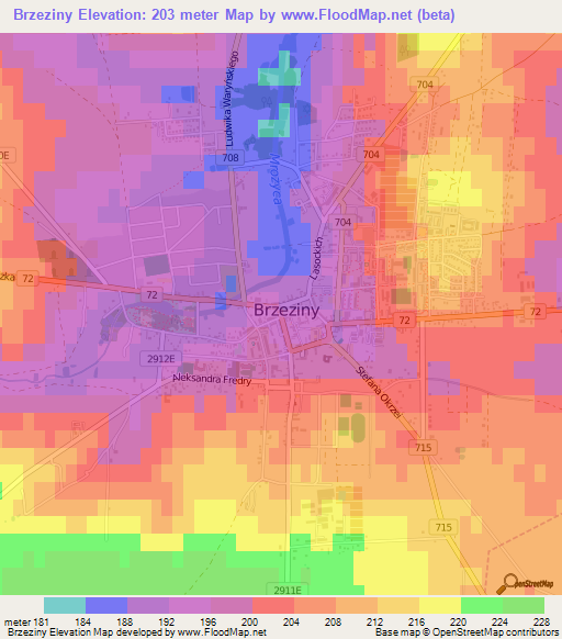 Brzeziny,Poland Elevation Map