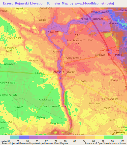 Brzesc Kujawski,Poland Elevation Map