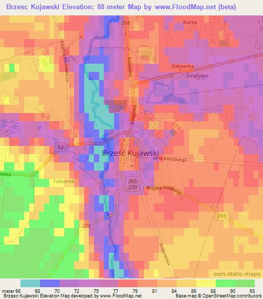Brzesc Kujawski,Poland Elevation Map