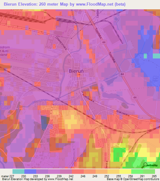Bierun,Poland Elevation Map