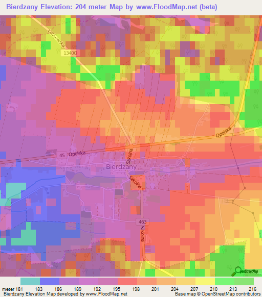 Bierdzany,Poland Elevation Map