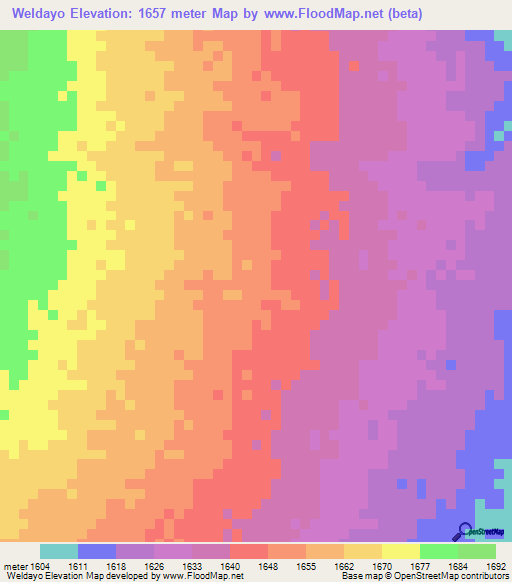 Weldayo,Ethiopia Elevation Map