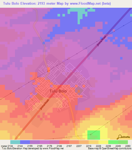 Tulu Bolo,Ethiopia Elevation Map
