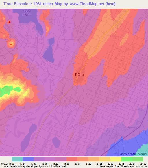 T'ora,Ethiopia Elevation Map