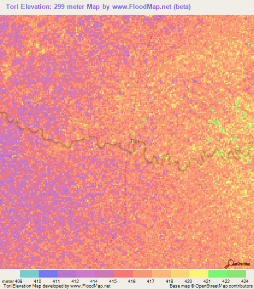 Tori,Ethiopia Elevation Map