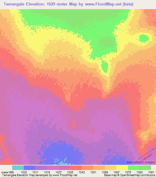 Tamangale,Ethiopia Elevation Map