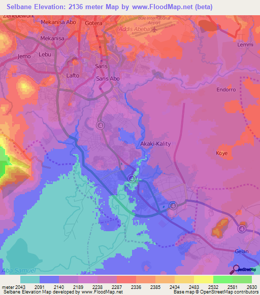 Selbane,Ethiopia Elevation Map