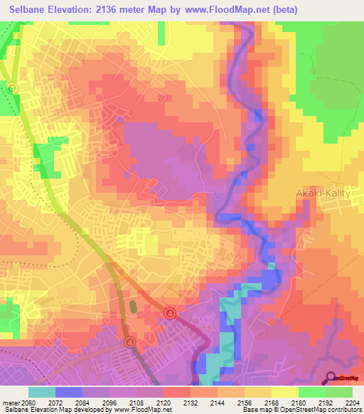 Selbane,Ethiopia Elevation Map