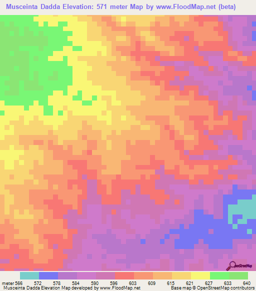 Musceinta Dadda,Ethiopia Elevation Map