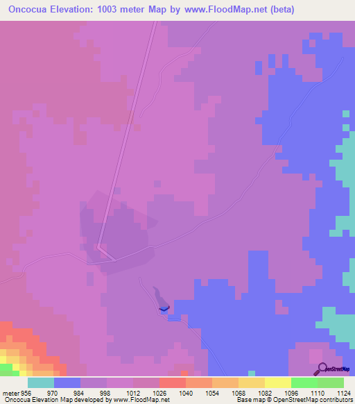 Oncocua,Angola Elevation Map