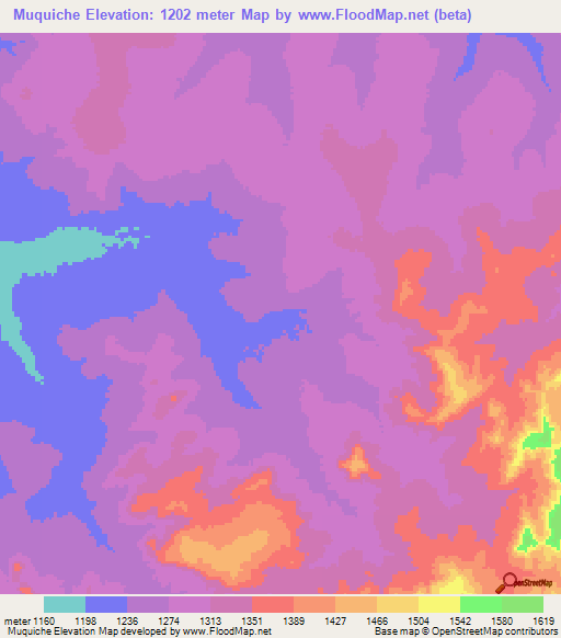Muquiche,Angola Elevation Map
