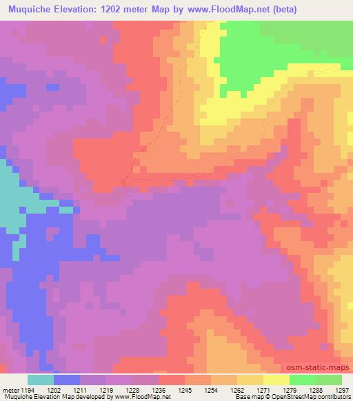 Muquiche,Angola Elevation Map