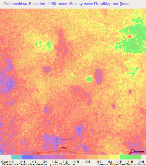 Oshanashiwa,Namibia Elevation Map
