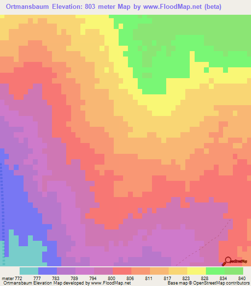 Ortmansbaum,Namibia Elevation Map