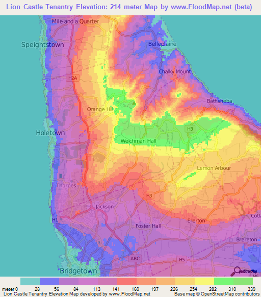 Lion Castle Tenantry,Barbados Elevation Map