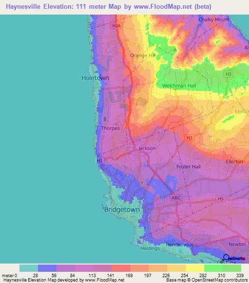 Haynesville,Barbados Elevation Map