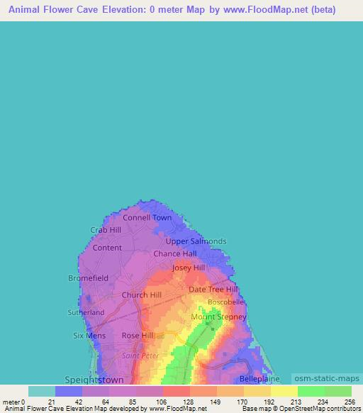 Animal Flower Cave,Barbados Elevation Map