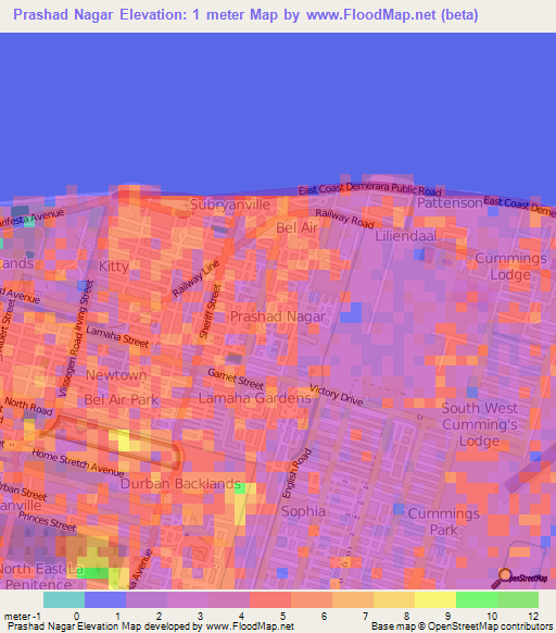 Prashad Nagar,Guyana Elevation Map