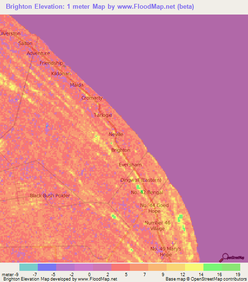 Brighton,Guyana Elevation Map