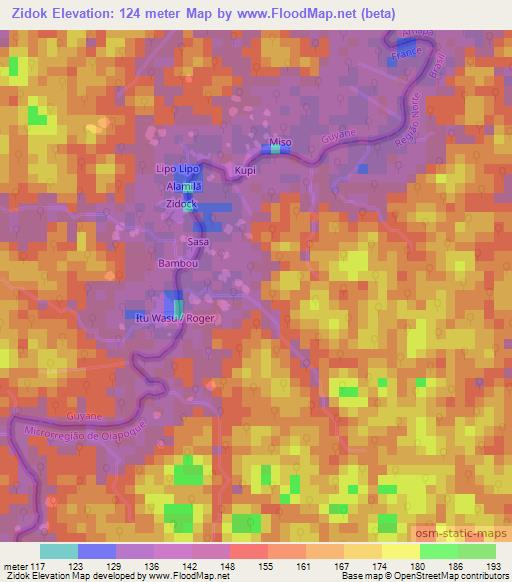 Zidok,French Guiana Elevation Map